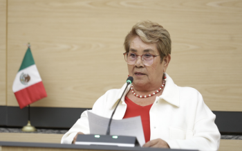 Impulsa diputada Modesta Delgado iniciativa para incorporar el principio de accesibilidad en la Ley de Desarrollo Social
